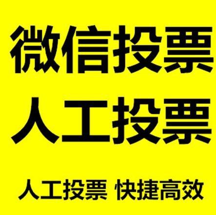 防城港市投票活动拉票能被查出来吗？如何操作能不被发现？
